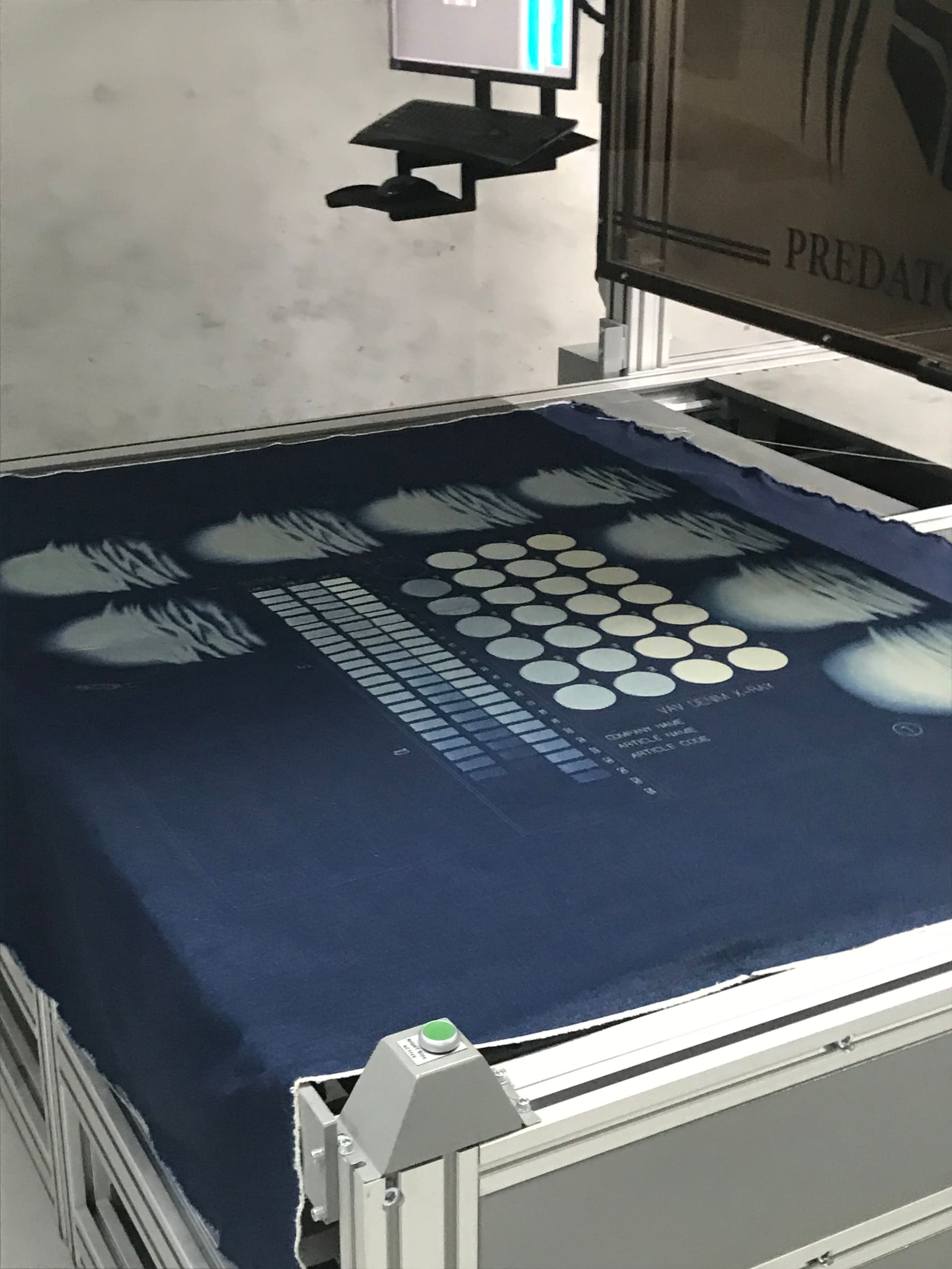Fabric dye and print process